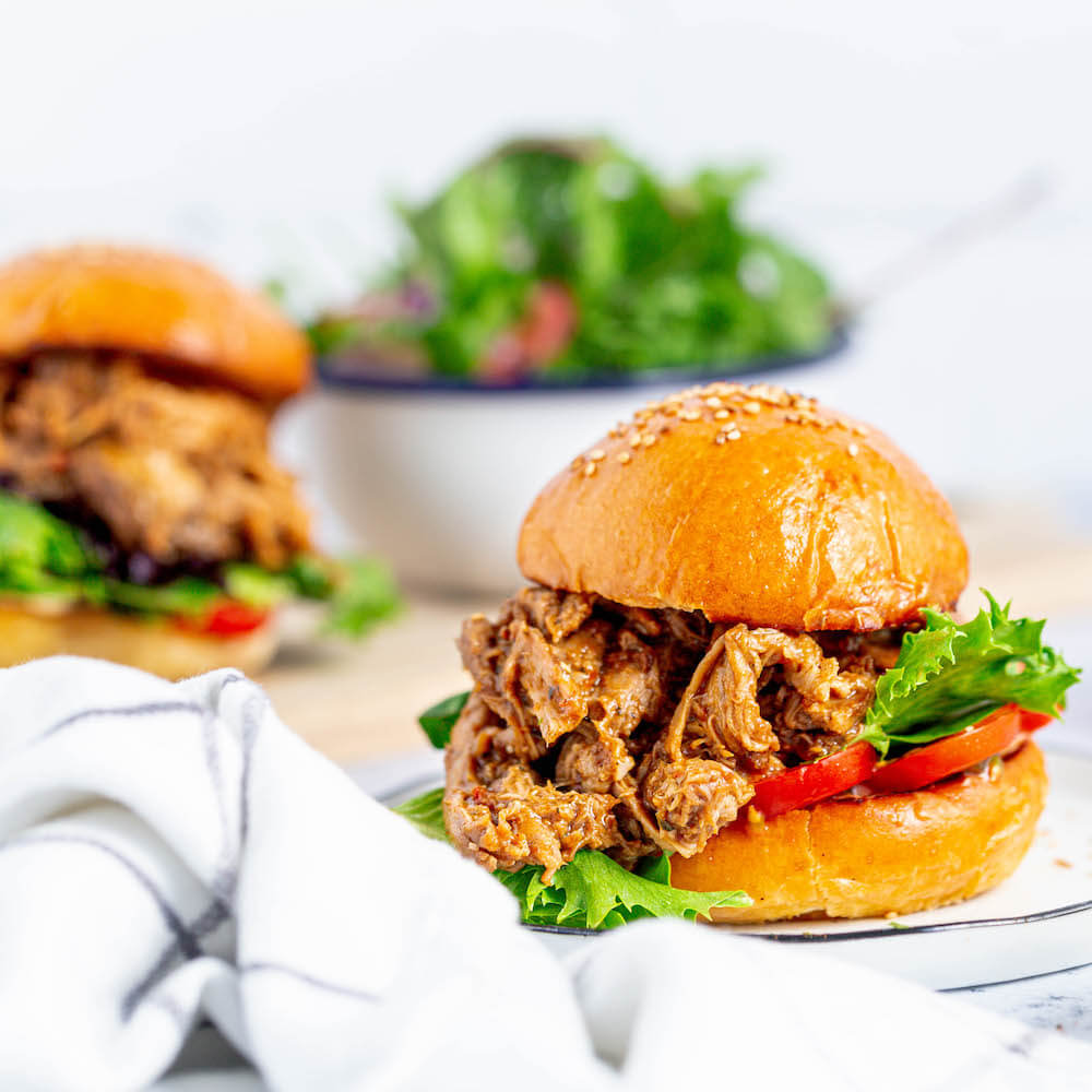 Pulled Pork Burger Just Spices Us